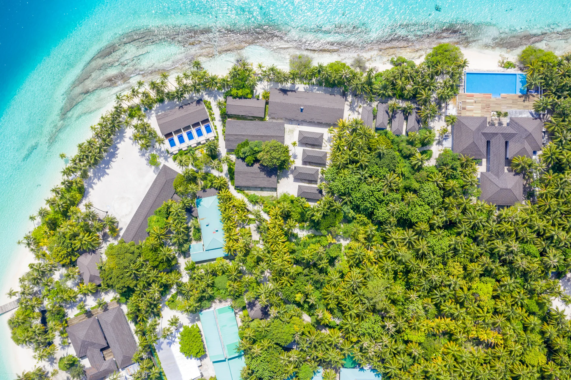 fiyavalhu webp Fiyavalhu